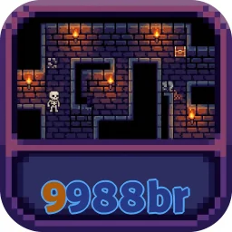 9988br